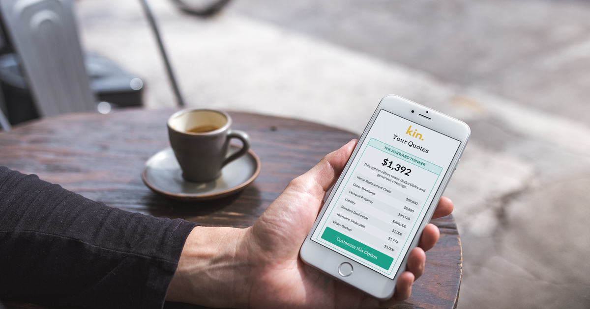 Kin Insurance reviews